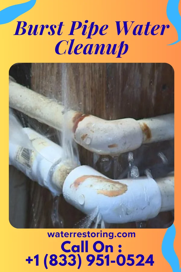Burst Pipe Water Cleanup in Oslo, MN