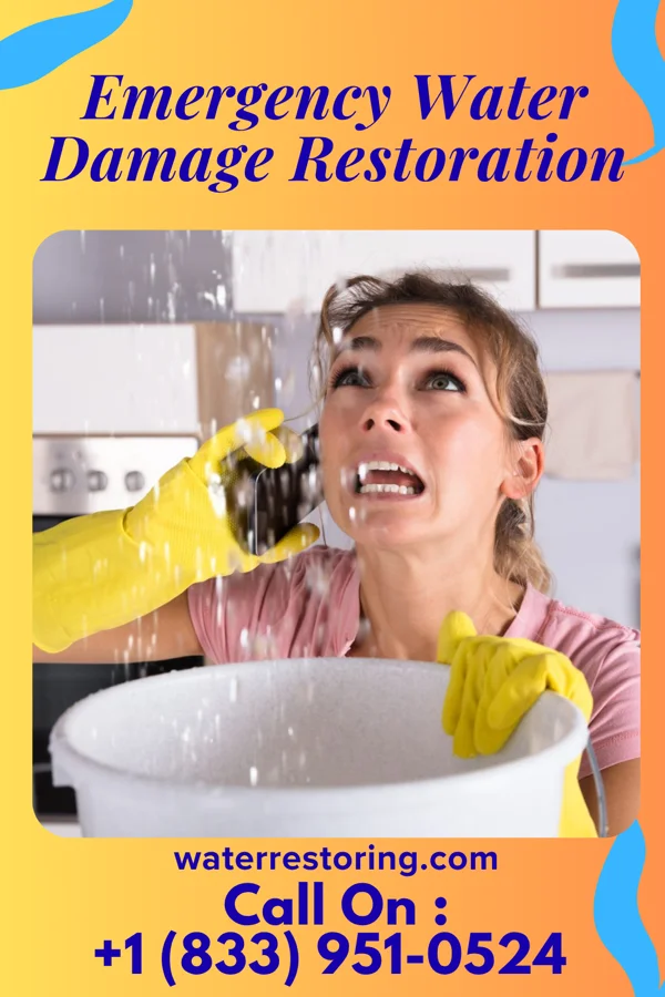 Emergency Water Damage Restoration in Oslo, MN