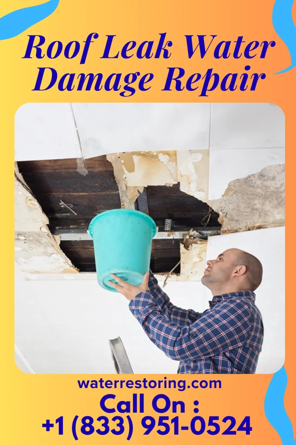 Roof Leak Water Damage Repair in Oslo, MN